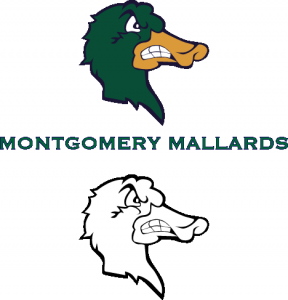 Mallard Baseball Logo